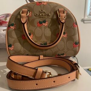 Coach Strawberry Purse